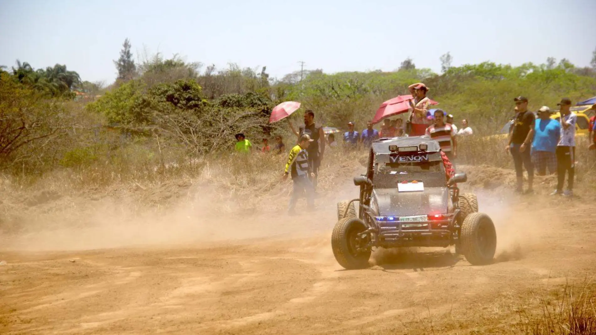 Pilota veracruzana 